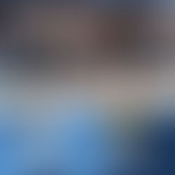 Dziki show depth and set a new ENBL record in assists