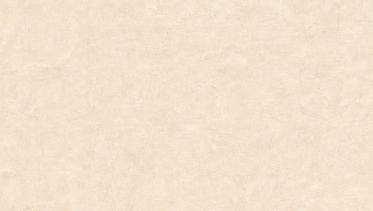 PP fondo_PPT-14.png