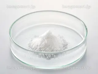 日持ちのするお土産