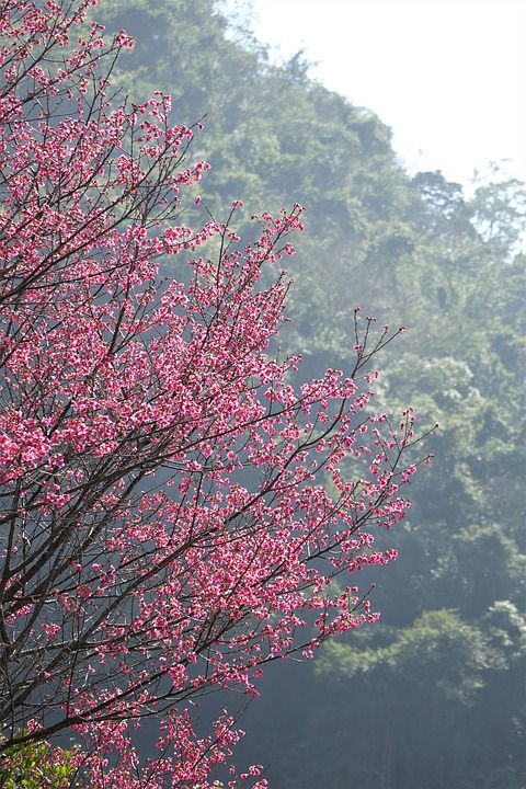 春分の日　鍼灸