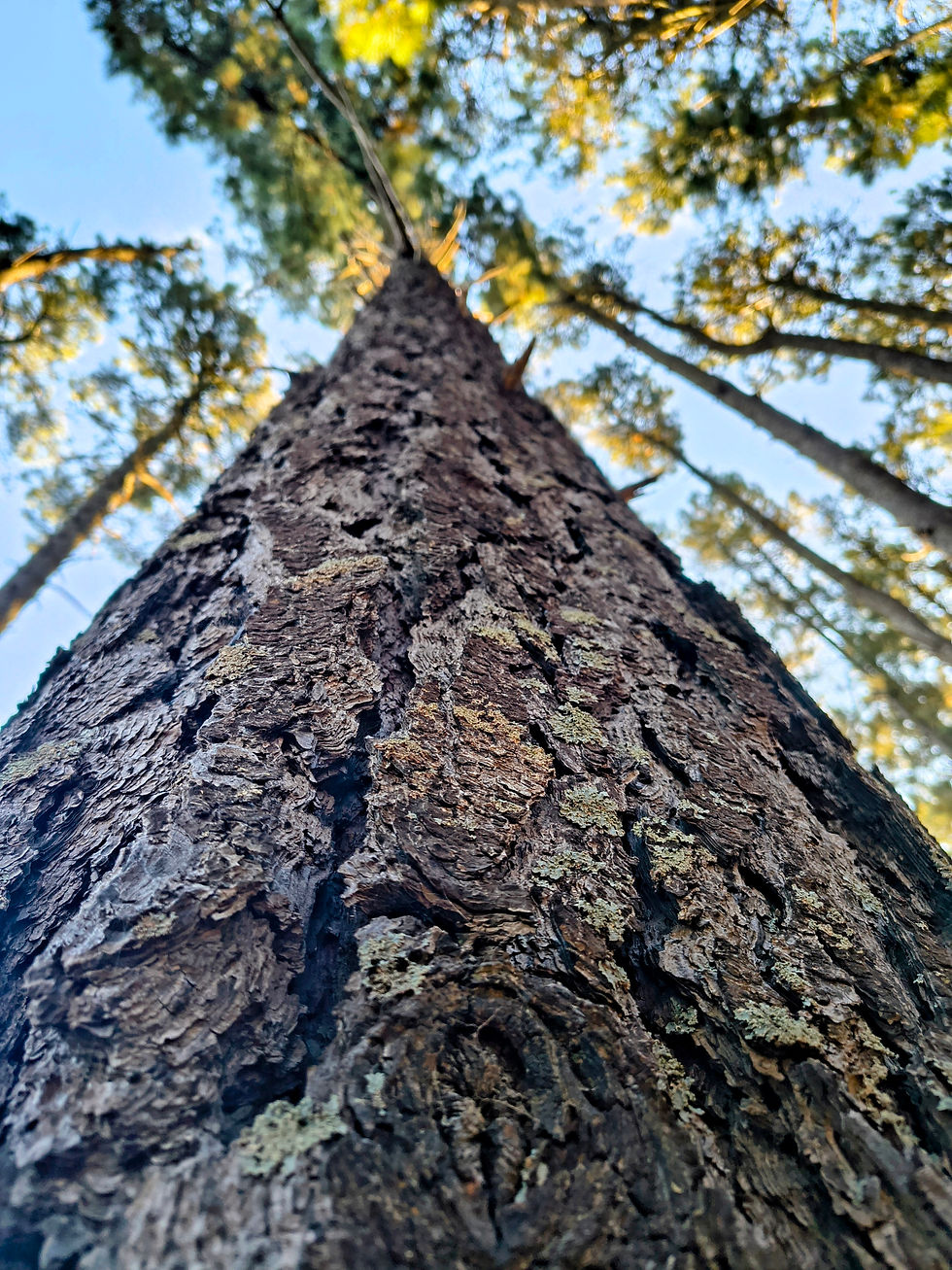 IMG_20260421_165959302_HDR~2