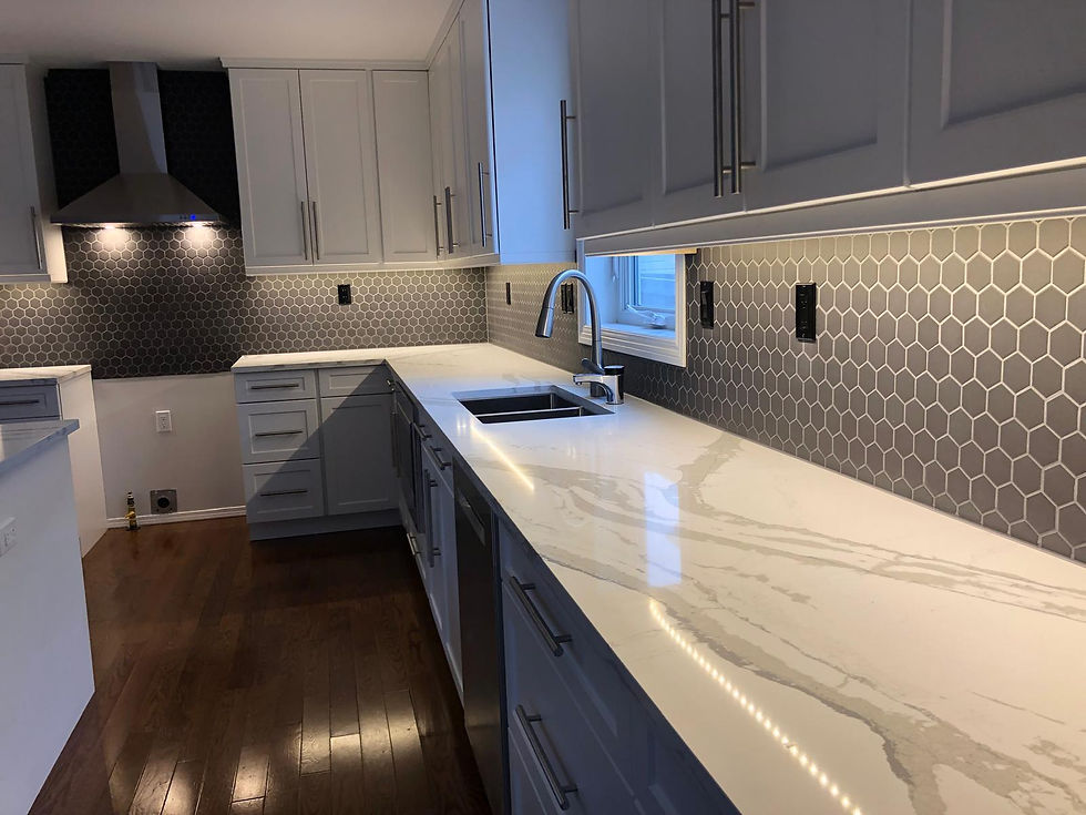 Quantum-renos-Edmonton-alberta-construction (59).jpg