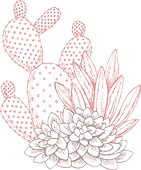 Cactuses