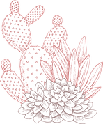 Cactuses