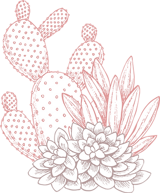 Cactuses
