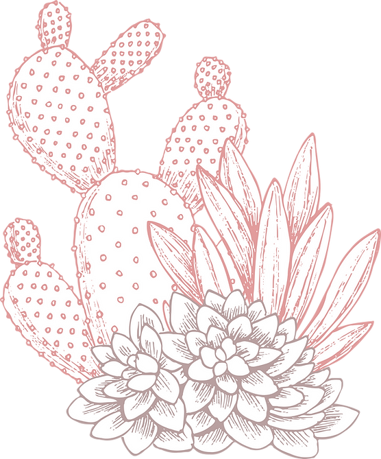 Cactuses