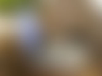 Warum die Reichen immer reicher werden und die Armen arm bleiben