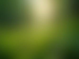 The Importance of Sustainable Living