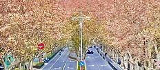 street_edited_edited.jpg