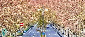 street_edited_edited.jpg
