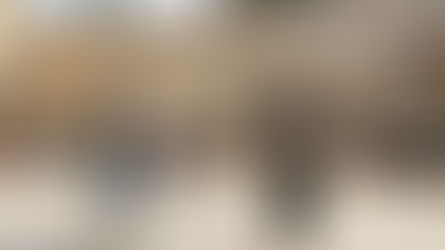 Touching the Promised Land 01 | TRIP INTRO