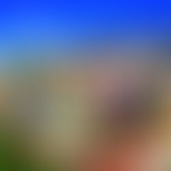 Imperdibles de Chile.