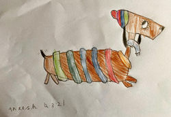 Sausage Dog