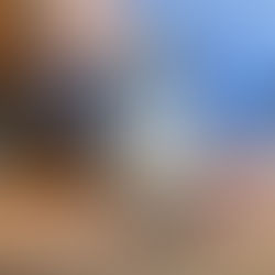 Homemade Onion Soup Mix