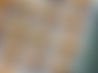 Candied Orange Slices Dipped in Chocolate