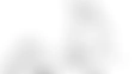 Le toucher en ostéopathie : entre finesse, confiance et humilité