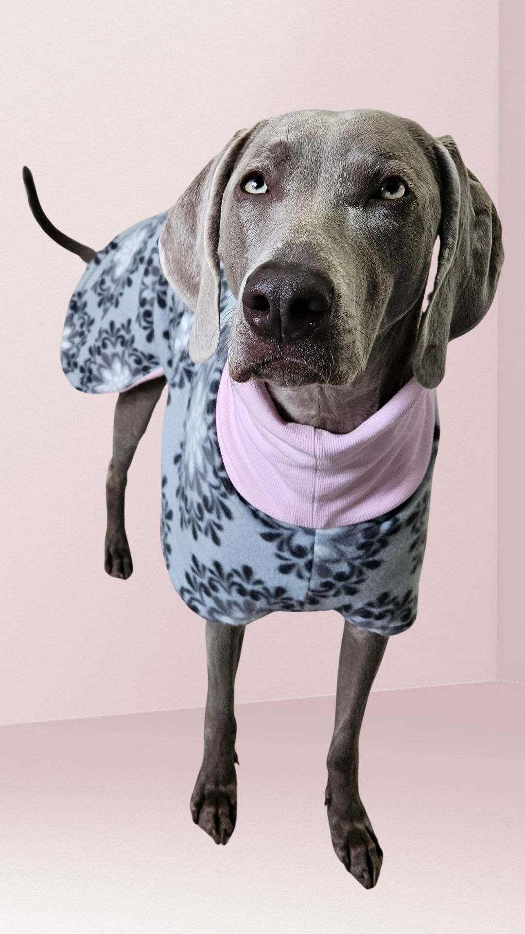 Grey flowery pattern