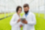 man-woman-work-with-tablet-standing-greenhouse.jpg