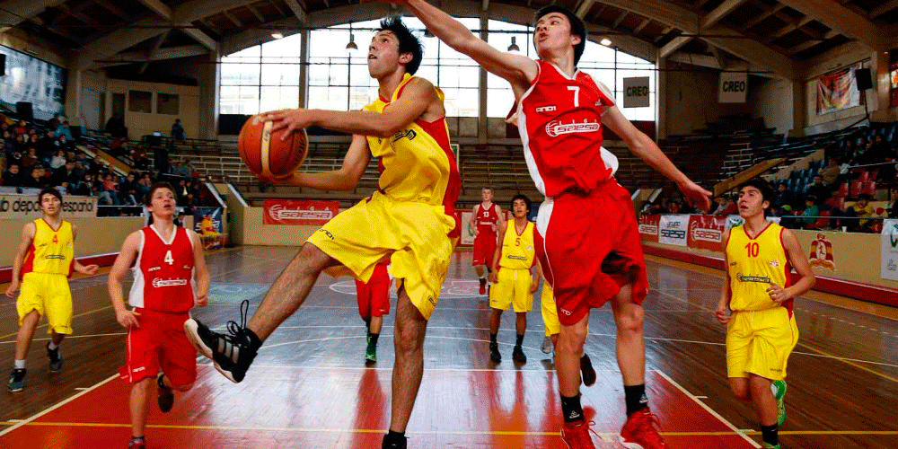 basquet.gif