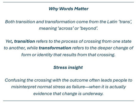 Part 2: Why Words Matter—Transition vs. Transformation