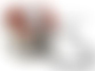 Inspección en una propiedad nueva en Doral, Brickell o Aventura?