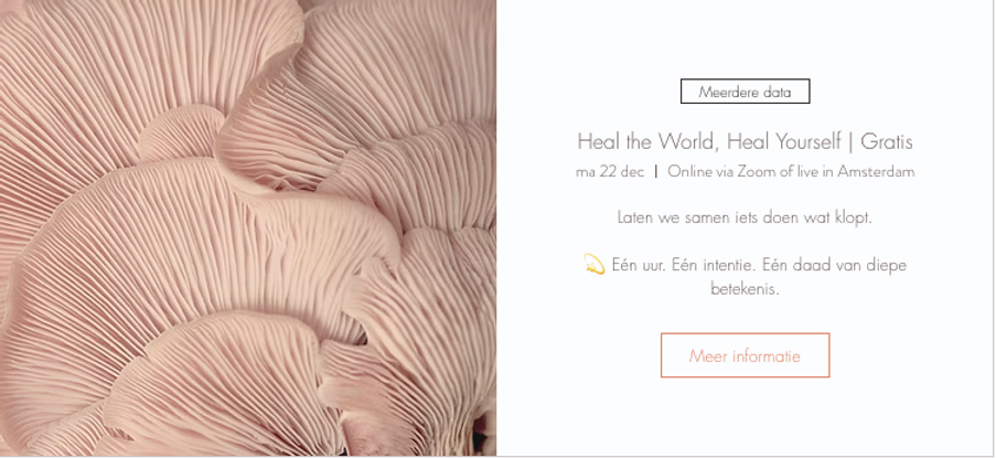 Schermafbeelding 2025-12-01 om 15.52.51.png