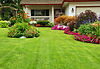 istock_000013964719small.jpg