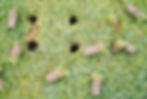 Aeration