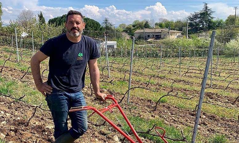 domaine johann michel cornas