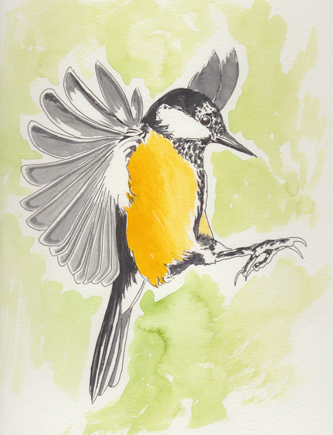 Yellow Bird -$150