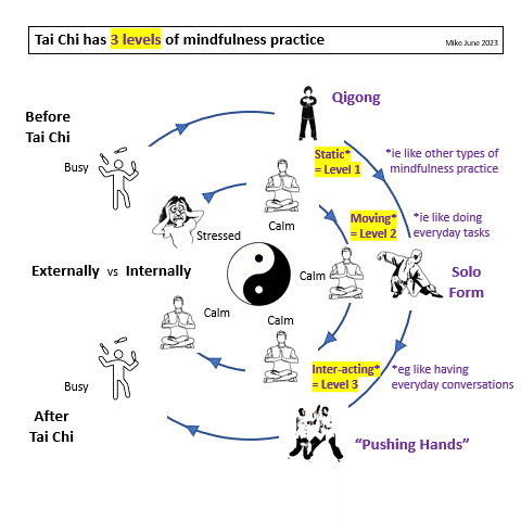 Tai Chi as practice for life .gif