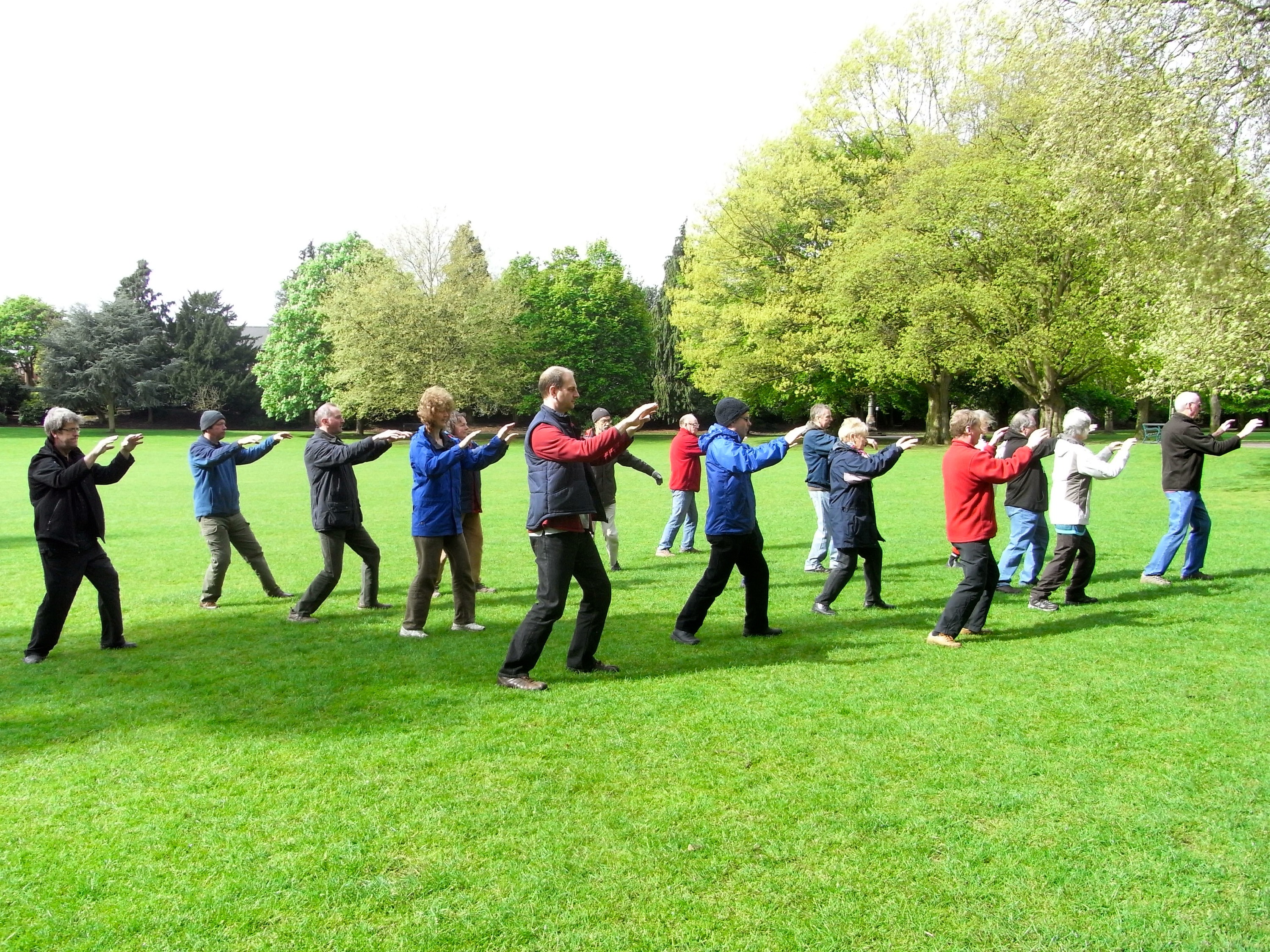Tai Chi in the park
