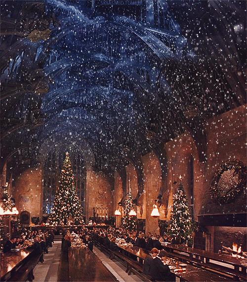 giphy (4).gif