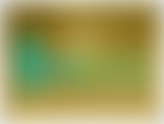 SEAWEED