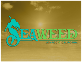 SEAWEED_LOGO.png