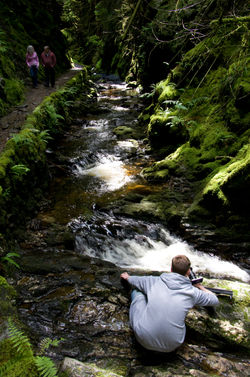 Jamie Brown at Puck's Glen