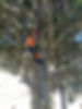 IMG_2787_edited.jpg