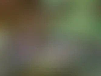 That Time I Got Lost in a City That Doesn't Exist on Google Maps