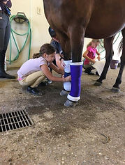 36333516_1839524476090834_23940311389107