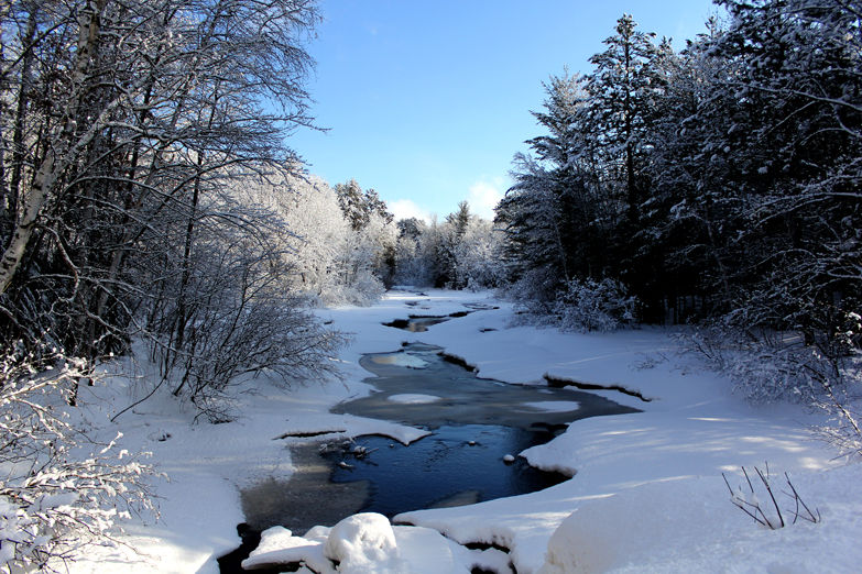 Along the River
