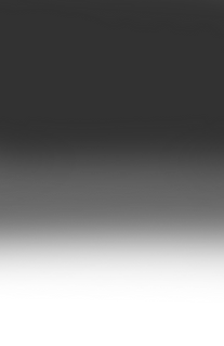 Sin título-1 copia.png