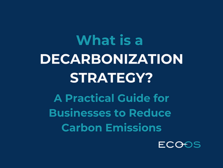 What is a Decarbonization Strategy? A Practical Guide for Businesses to Reduce Carbon Emissions