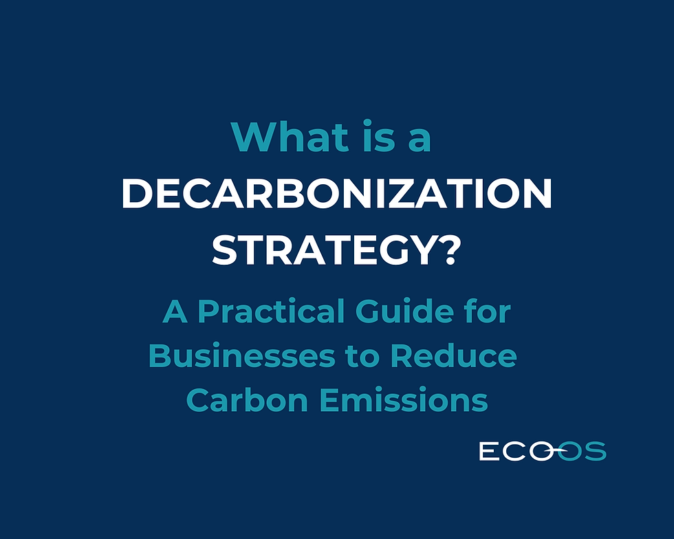 What is a Decarbonization Strategy? A Practical Guide for Businesses to Reduce Carbon Emissions