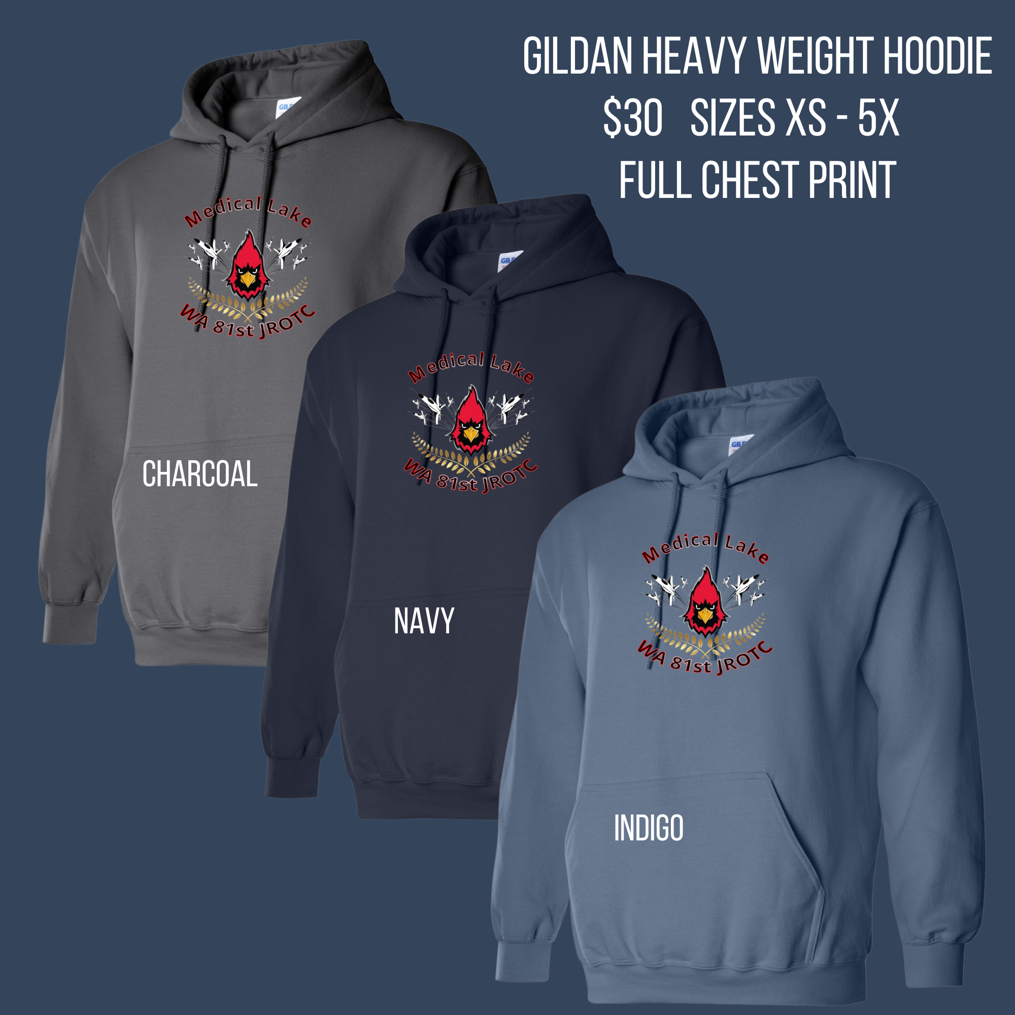 MLHS AFJROTC Hoodie (Full Chest Print)