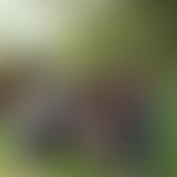 Segundo intercambio de aprendizajes regenerativos en Barichara Santander