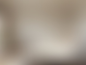 Transforming a Guest Room: Blending Classical Elegance with Modern Design Elements