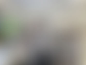 The last session of the formulation lab 