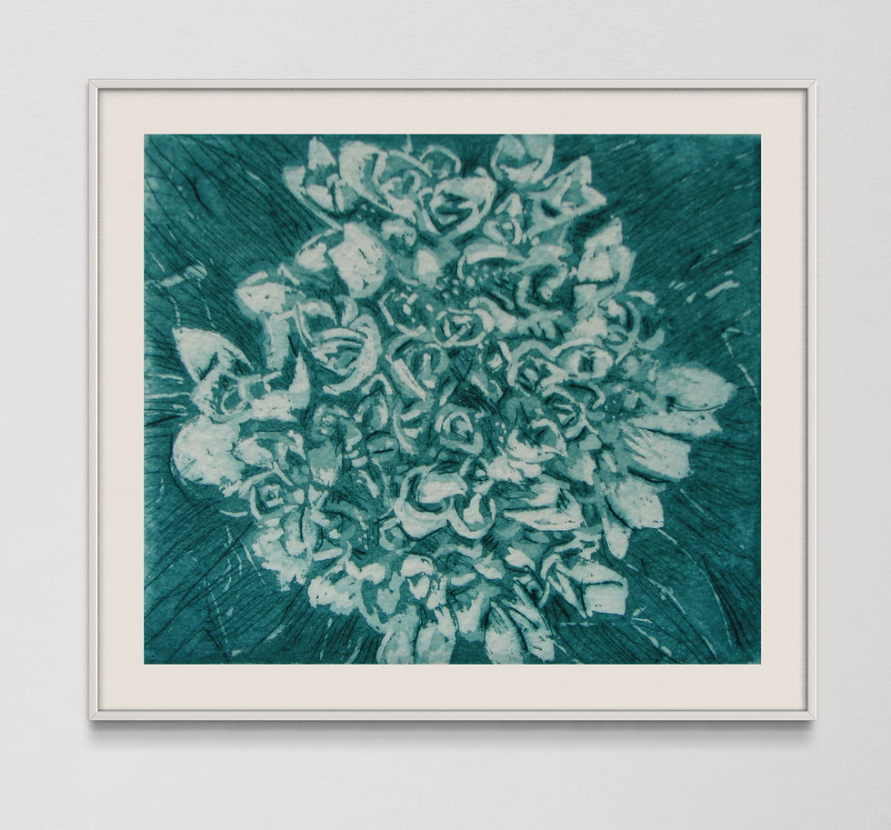 Hydrangea (1st state)