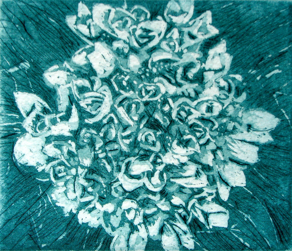 Hydrangea (1st state)