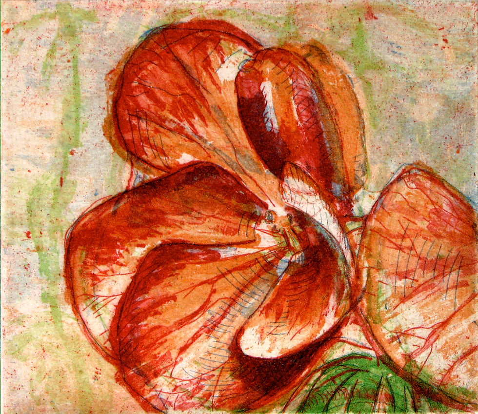 Geranium (2nd state)